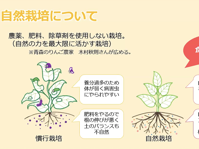 小農・森林ワーカーズPJ　自然栽培パーティー理事長　磯部さん講師に学習会　連携し自然栽培さらに広げよう